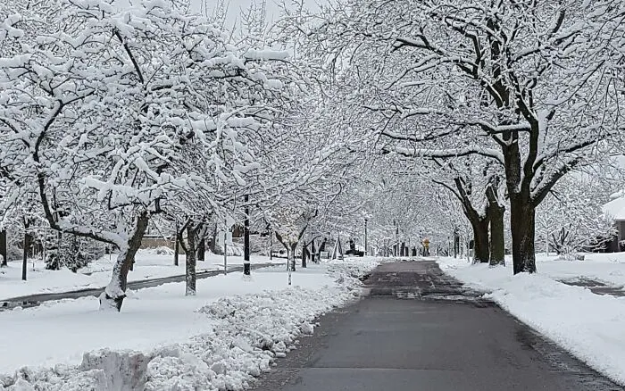 Nice Street In Waterloo