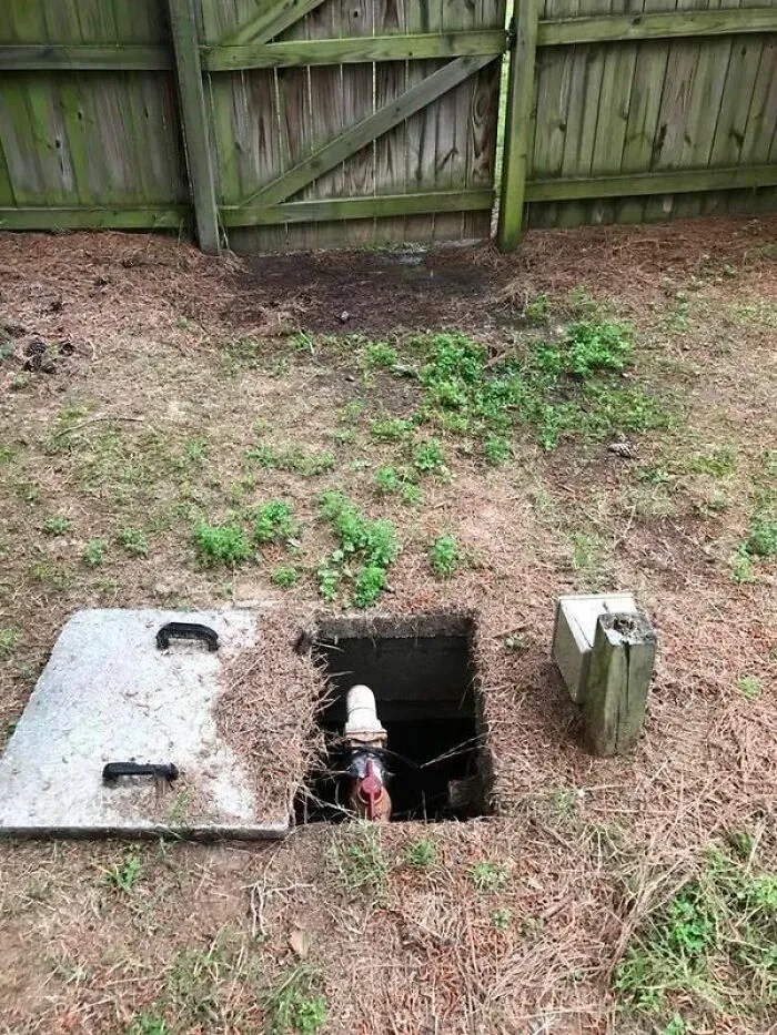 Tanque séptico que parece Rafiki de El rey león