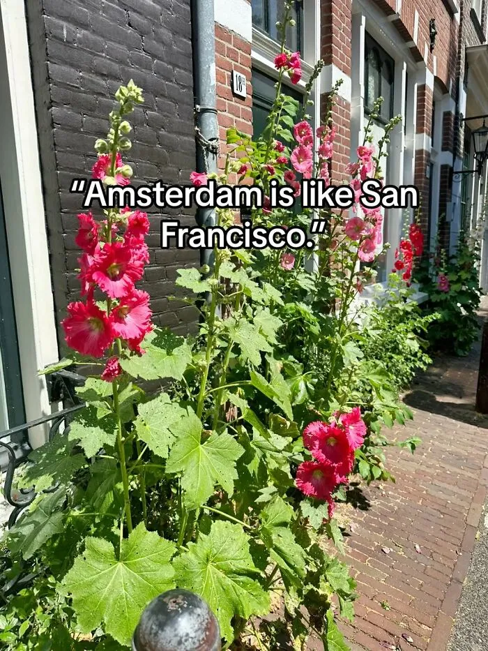 American Tourist Shares 22 Of Her Husband's Witty Remarks Whilst Traveling To Europe, Goes Viral