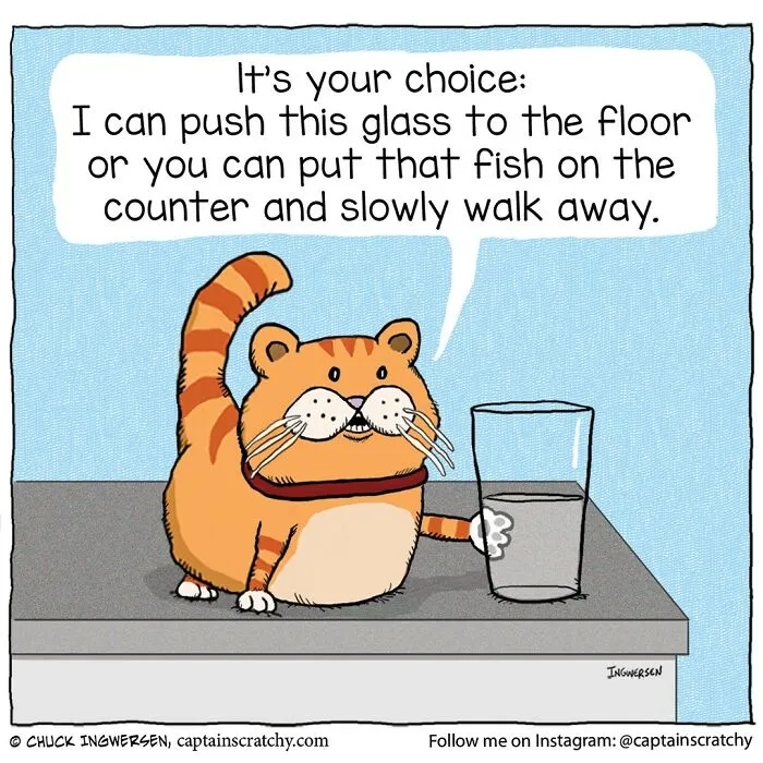 40 New Comics That Feature Animals In Funny Situations By Captainscratchy