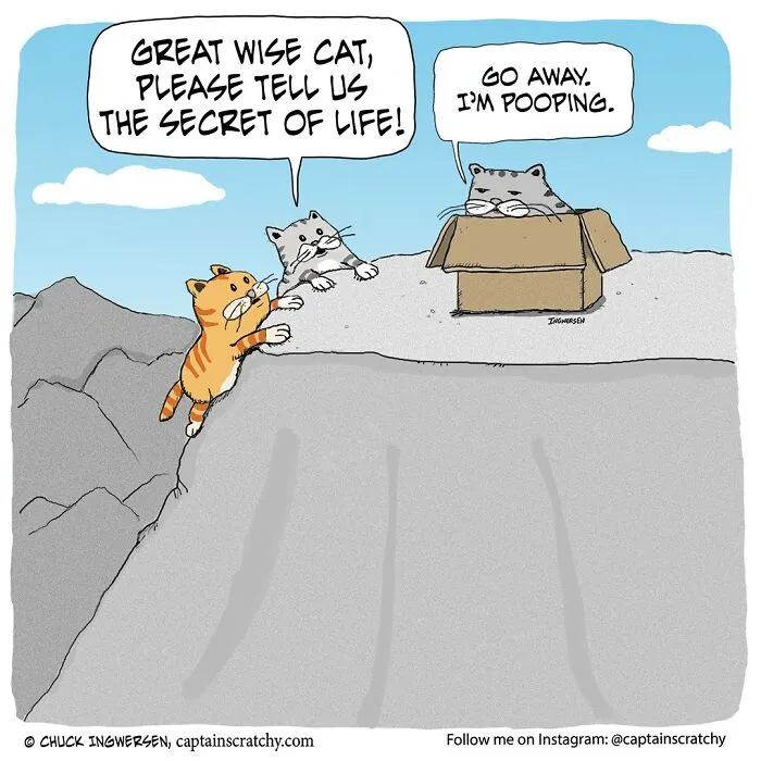 40 New Comics That Feature Animals In Funny Situations By Captainscratchy