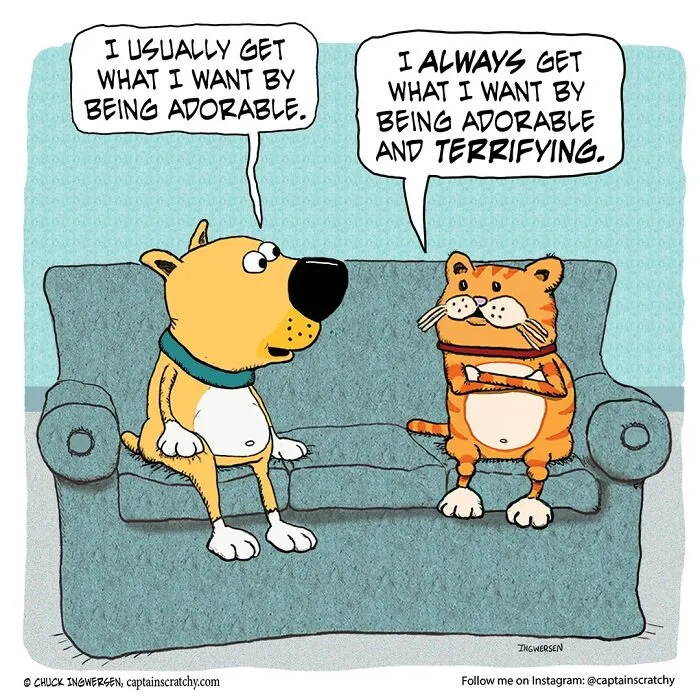 40 New Comics That Feature Animals In Funny Situations By Captainscratchy