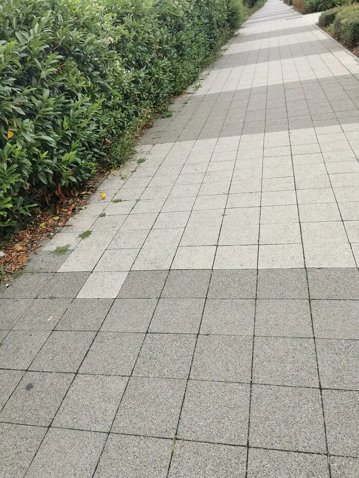 Just... Why?