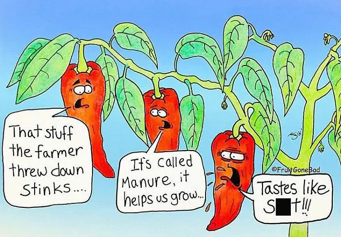 30 Slightly Inappropriate Comics By “Fruit Gone Bad” (New Pics)