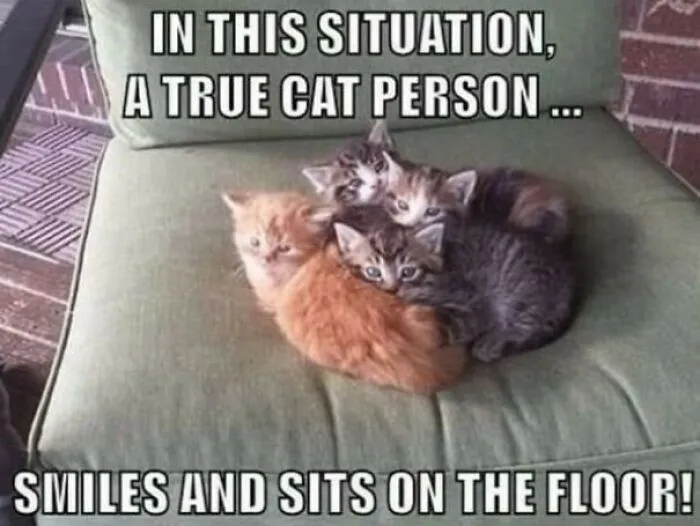 Move Them?! Never!!!