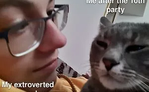 50 Funny Cat Photos Anyone Who Has Cats Should Appreciate