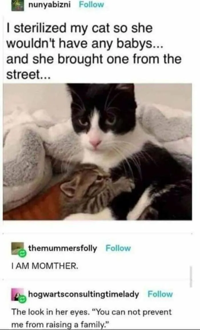 Always A Mother