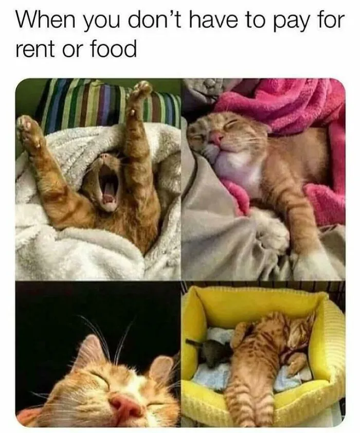 Must Be Nice