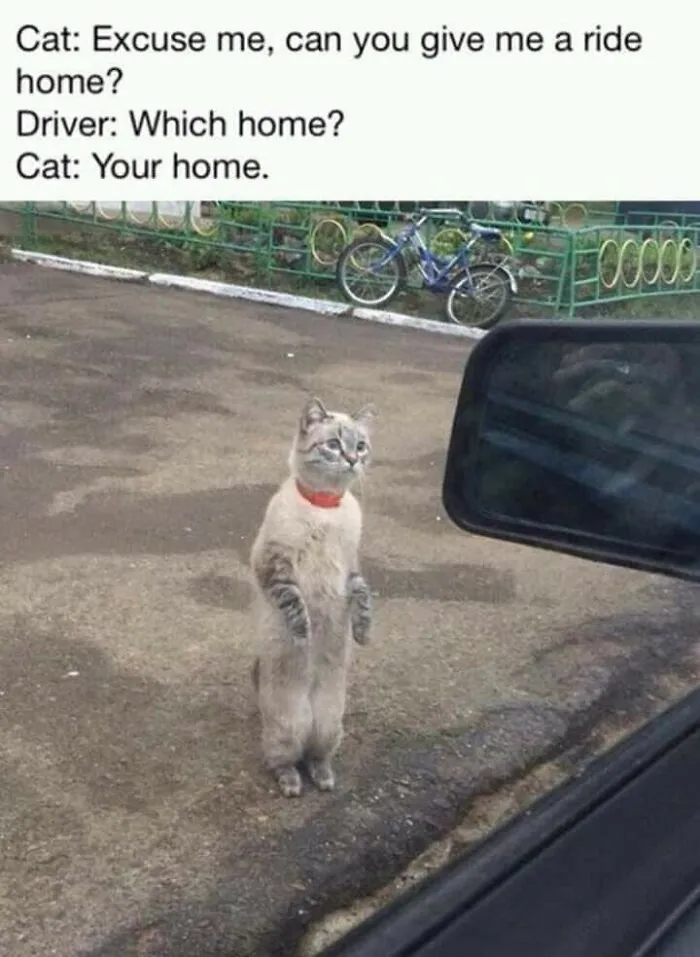 Your Home Please