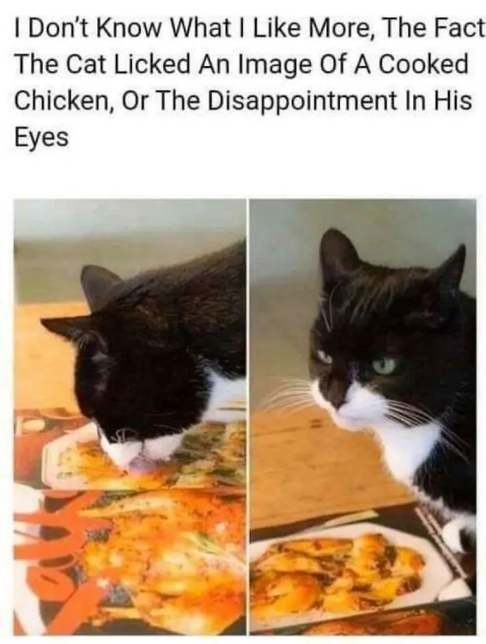 Disappointment