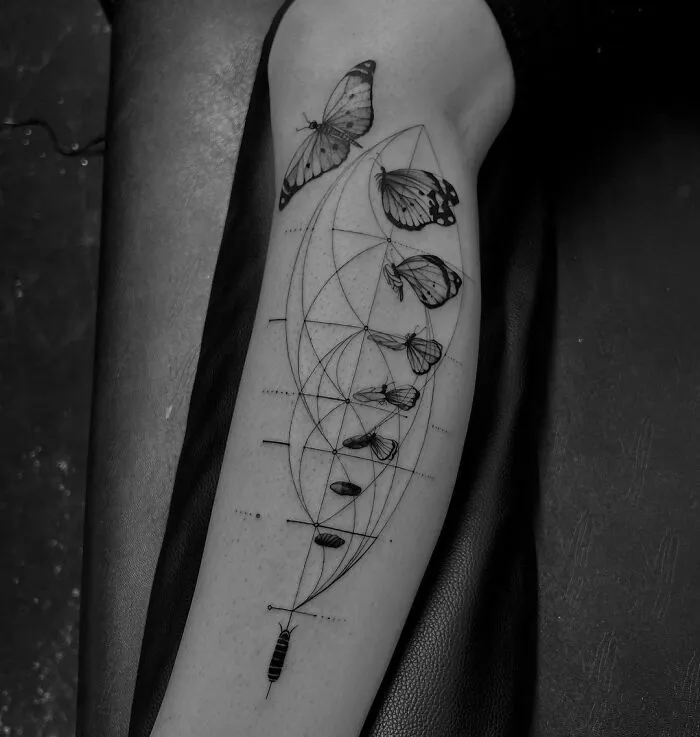 Fibonacci And Realistic Butterflies Tattoo