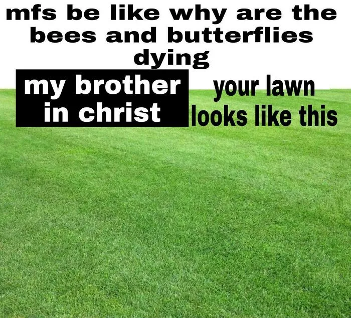 Thought This Was Fitting For This Sub