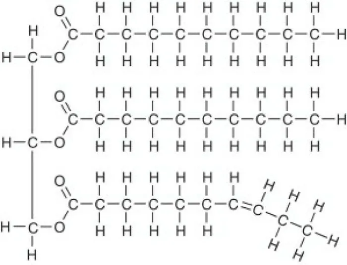 Triacylglycerol Looking Like Any Suburb Ever