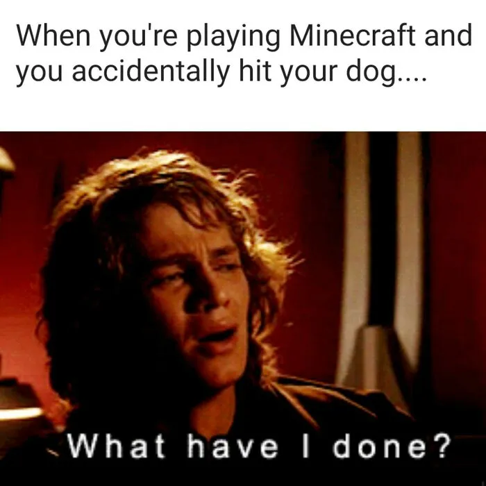 Man expressing regret with text overlay: "What have I done?" Relatable gaming meme about accidentally hitting a dog in Minecraft.