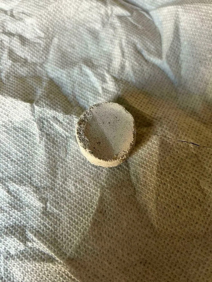 Found In My Backyard. It Is Chalky And Will Rub Off If You Run Your Finger On It. Because Of My Dogs, Really Just Want To Make Sure It’s Not Some Kind Of Poison. Thanks!