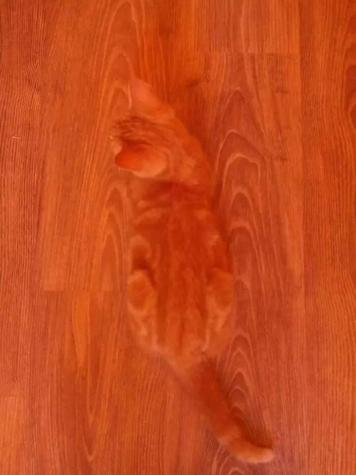 30 Photos That Look Normal At First Glance But Become Hilarious When You Catch The Small Details