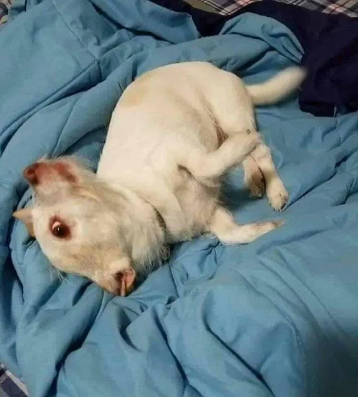 30 Photos That Look Normal At First Glance But Become Hilarious When You Catch The Small Details
