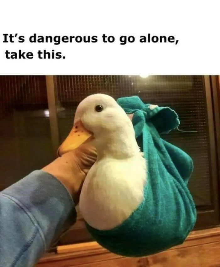 The Magnificent Duck The Sembol Of Cuteness And Luck +20%mob Drops +15% Finding Rare Items In Dungen Chests And +20%movment Speed When In Water