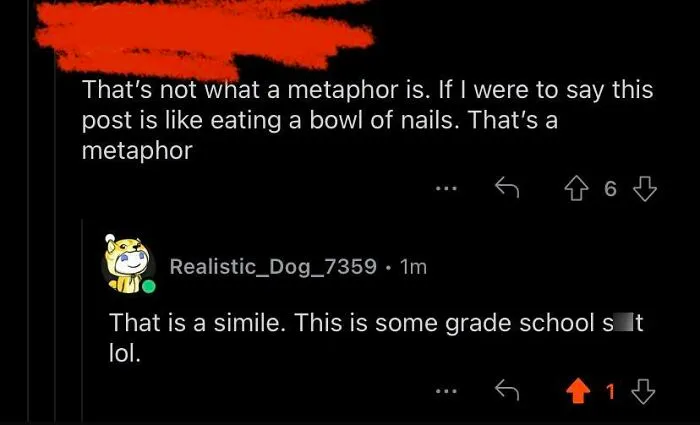 And He Was Correcting Somebody Else