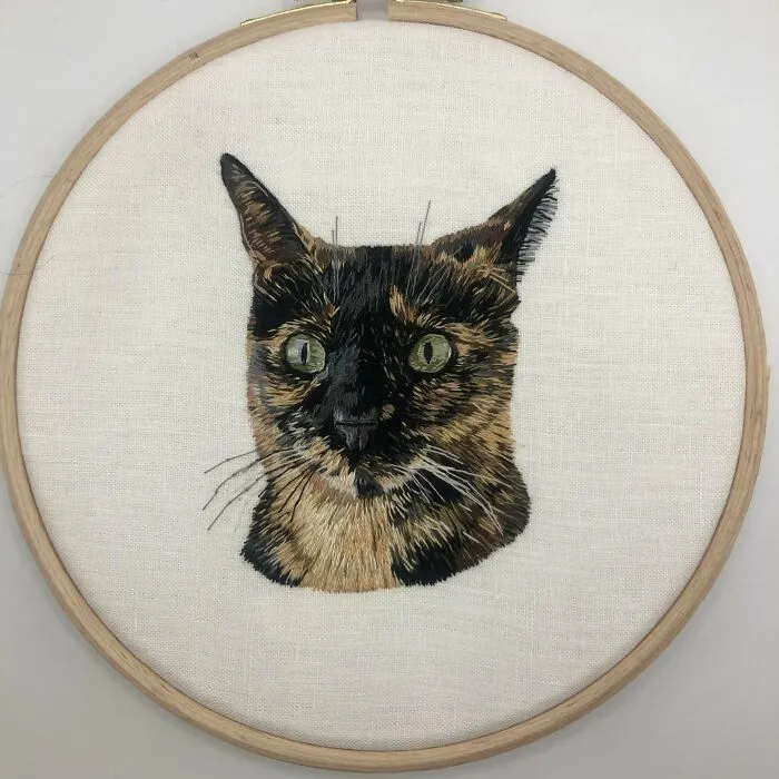 Portrait Of A Slightly Annoyed Cat