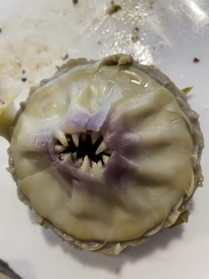An Artichoke I Was Eating Had Teeth Of Its Own!