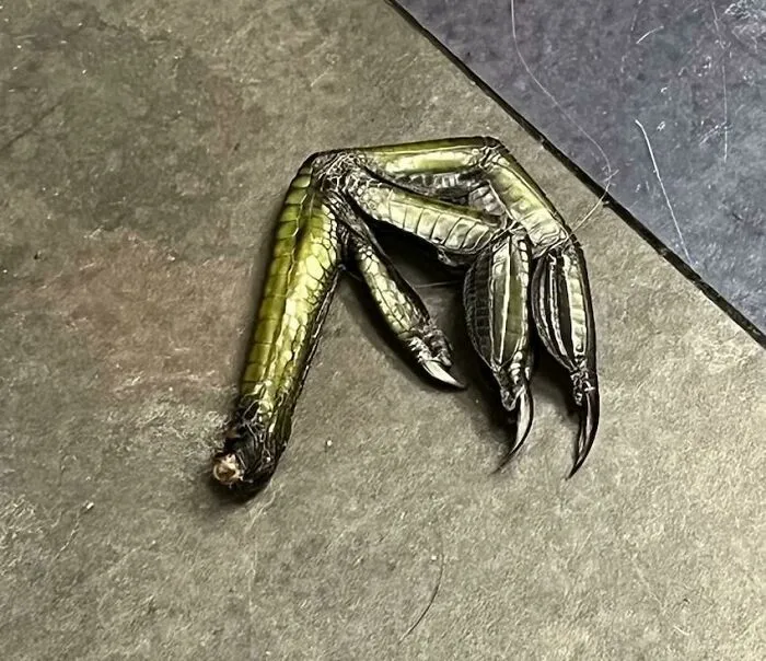 Wife Showed Me What Her Coworker Found Near The Register While Closing Sporting Goods Store In Small Town