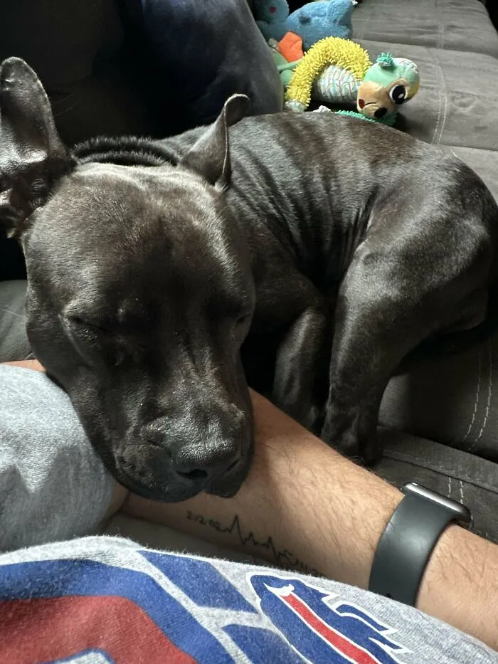Rescued This Cute Girl Yesterday