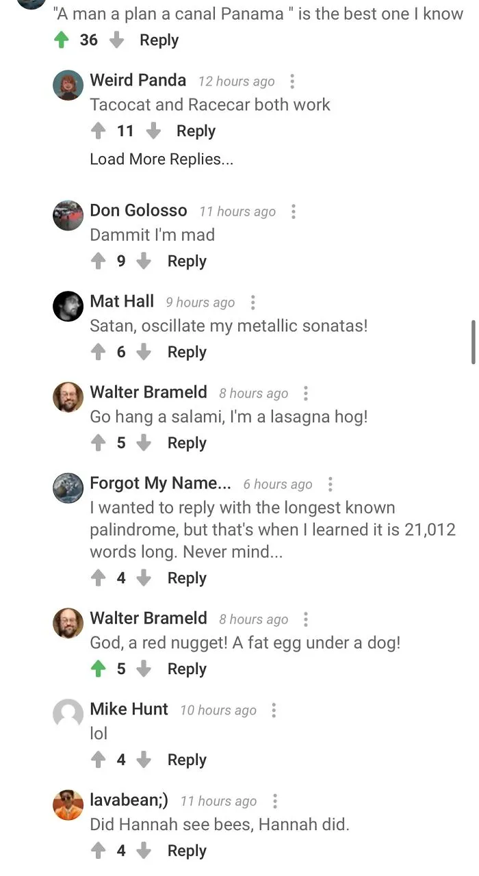 The Palindrome Comment Thread