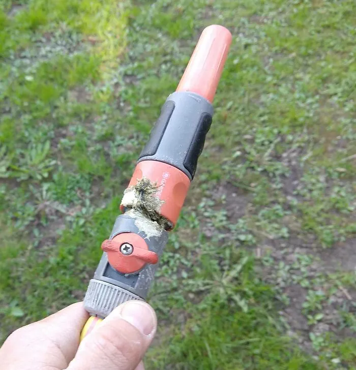 Bird Poop On The Garden Hose Nozzle