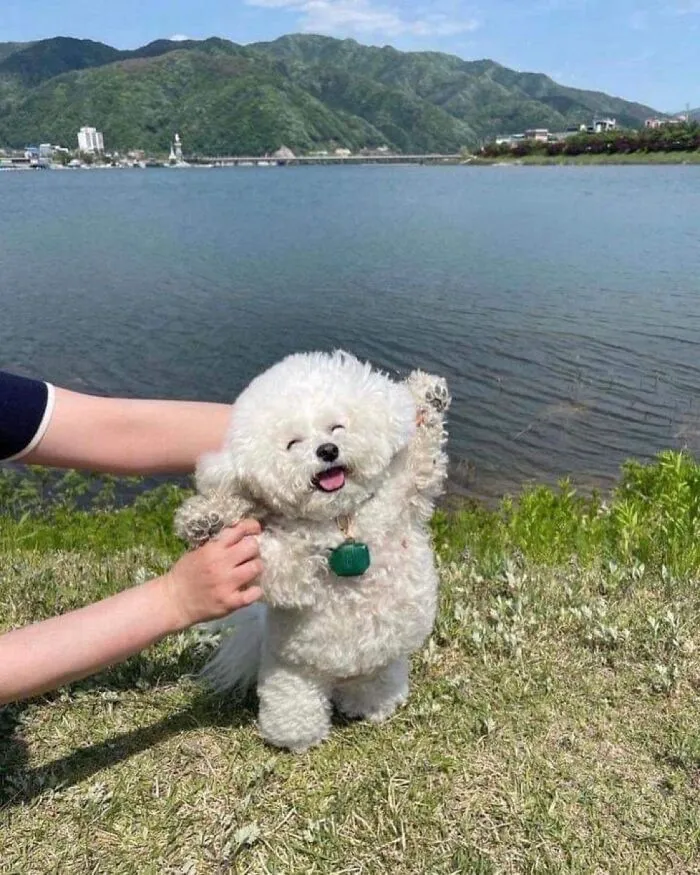 Disfrutando de la vida