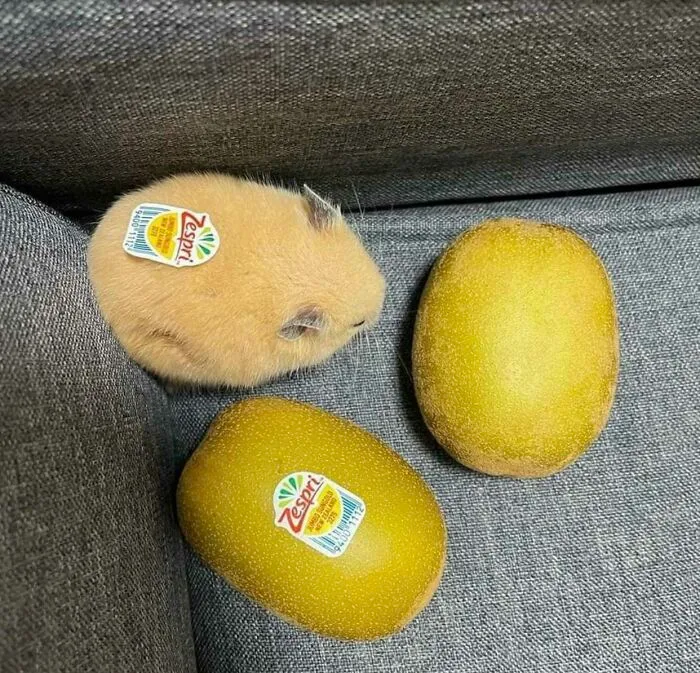 No veo la diferencia