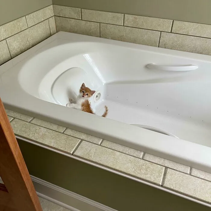 Someone Got In There…and Got Mad She Couldn’t Get Out