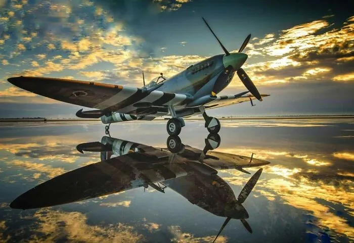 For Those Of Us Who Love The Spit