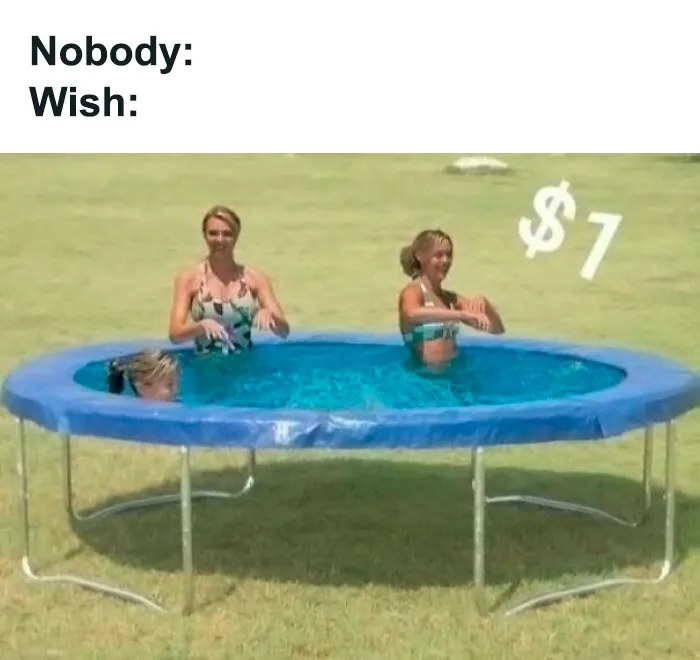 Seems Legit