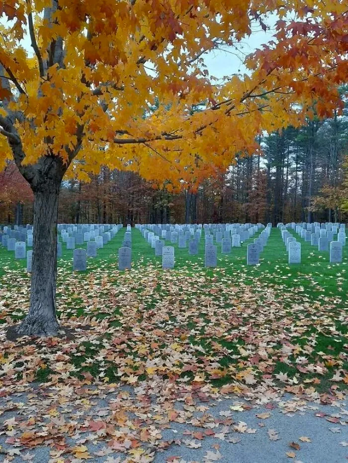 Foto del cementerio que parece 2 imágenes distintas unidas