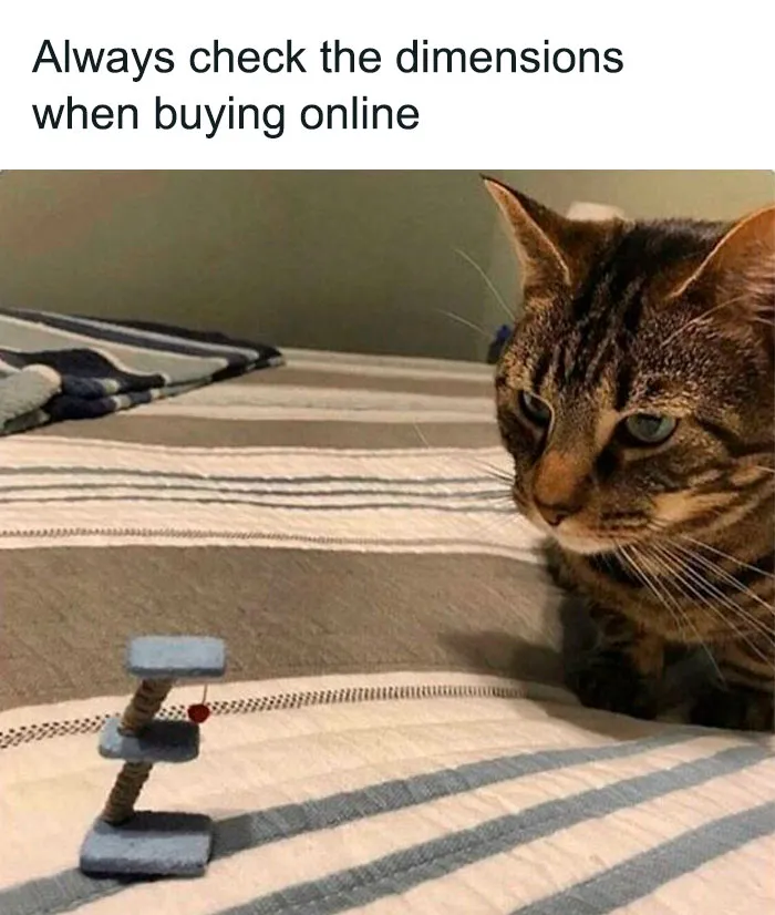 Always Check The Dimensions In Online Shopping
