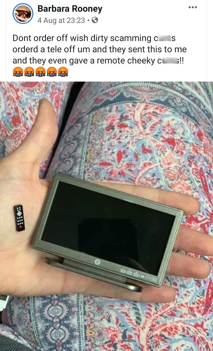 I'm Just Shocked Someone Had The Nerve To Order A TV From Wish