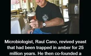 “Of Course That’s A Thing”: 50 Of The Most Nonsensical Or Interesting Things That Actually Exist (New Pics)