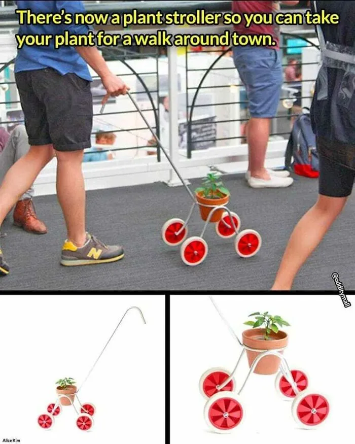 Planty! No!