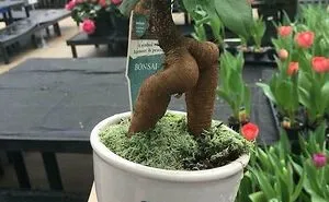 “Of Course That’s A Thing”: 50 Of The Most Nonsensical Or Interesting Things That Actually Exist (New Pics)