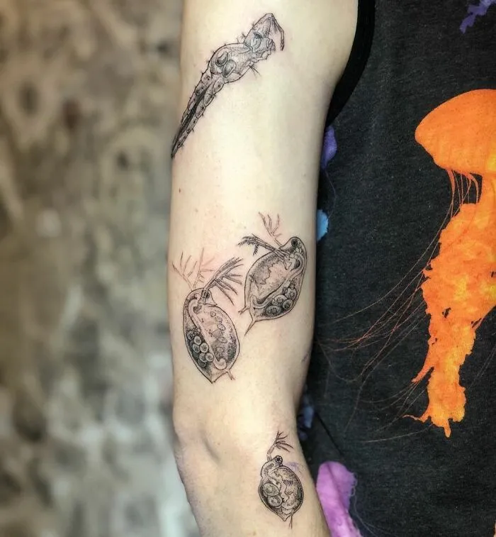 Science tattoos on forearm showcasing intricate biological illustrations.