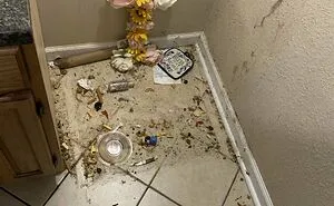 29 Landlords Document The Devastating Condition Of Houses Left By Nightmarish Tenants