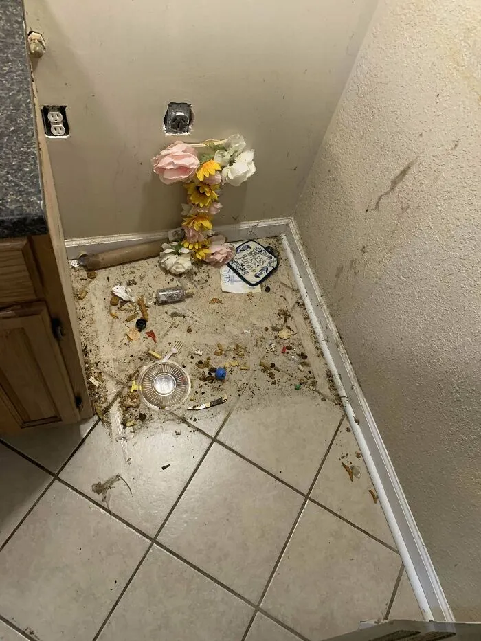 [landlord] What Renters Can Do In A Year Is Beyond Me