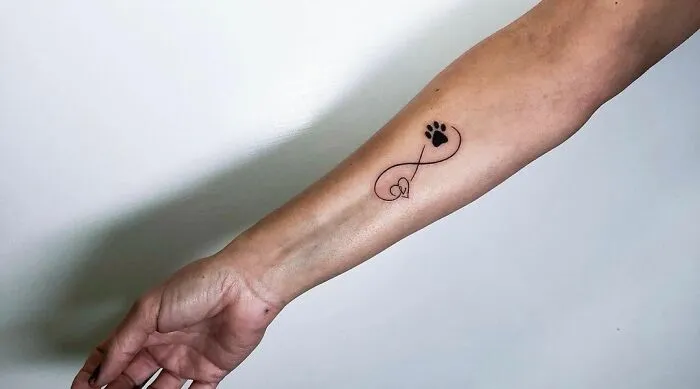 Infinity tattoo with a paw print on forearm, symbolizing eternal creativity.