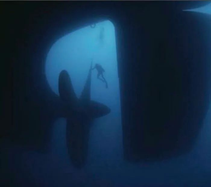 A Human Compared To A Ship Propeller