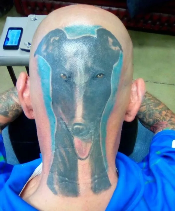 A large dog tattoo covering the back of a person's bald head, illustrating a bold choice in getting inked.