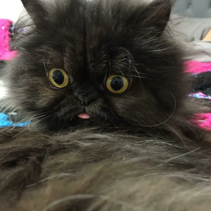 All I Did Was Touch Her And She Looked At The Spot Like I Violated Her