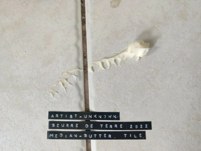 My Roommate Occasionally Leaves Careless Messes In The Kitchen. I Started Labeling Them As His Art Projects