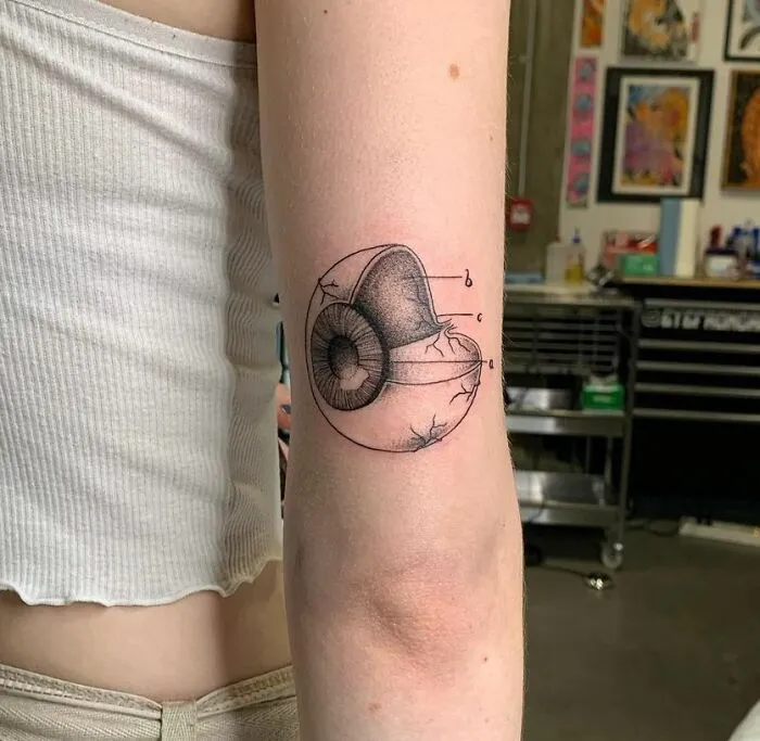 Detailed eye anatomy tattoo on a person's upper arm, emphasizing science artistry.