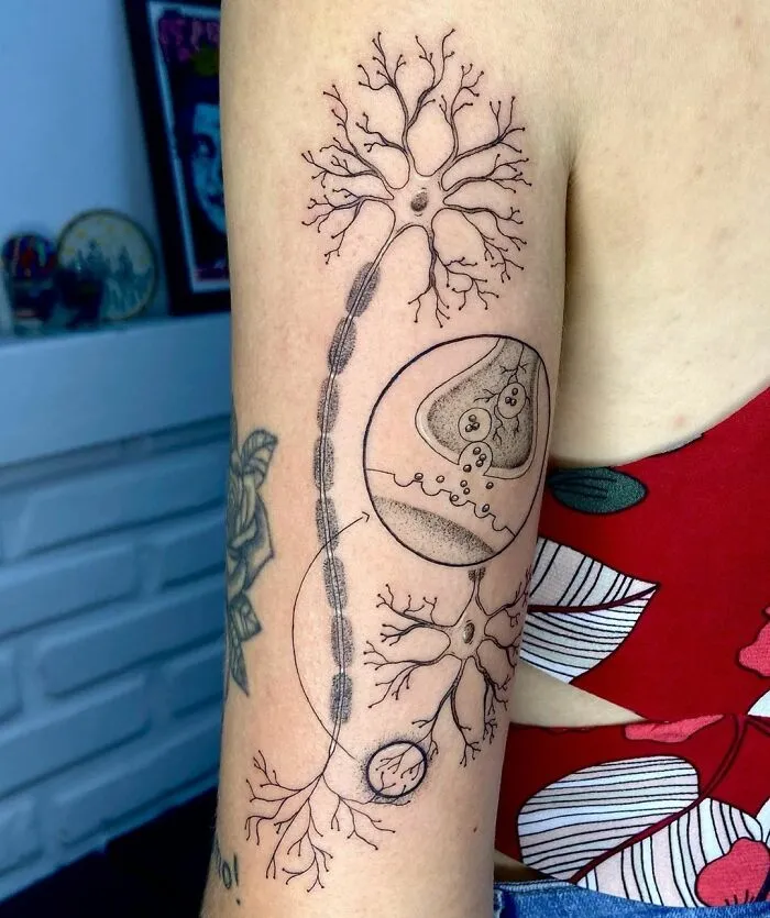 Science tattoo design of neuron and synapse on upper arm, blending art and biology.